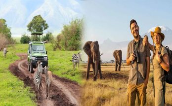 Embark on the Ultimate African Adventure with Our Backpacker Travel Agency