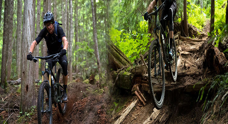 Highly Durable Bikes for Off-Road Adventure Trips: Conquer the Trails with Confidence