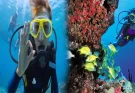 Discovering the Top Caribbean Islands for Snorkeling and Diving