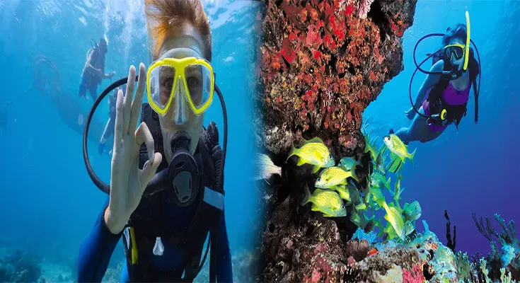 Discovering the Top Caribbean Islands for Snorkeling and Diving